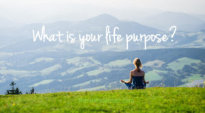 What is Your Life Purpose