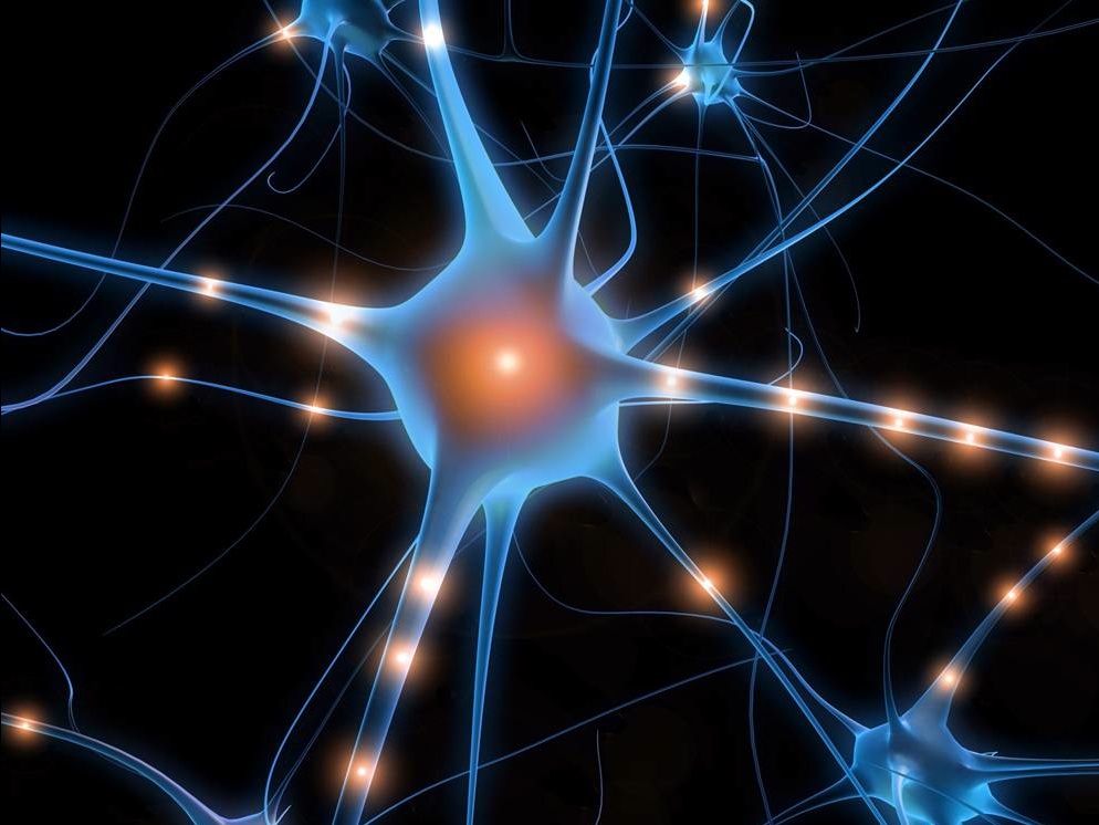 Psychological Muscle Memory Conditioning