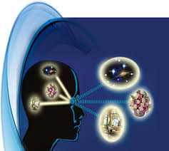 We See With Our Brain