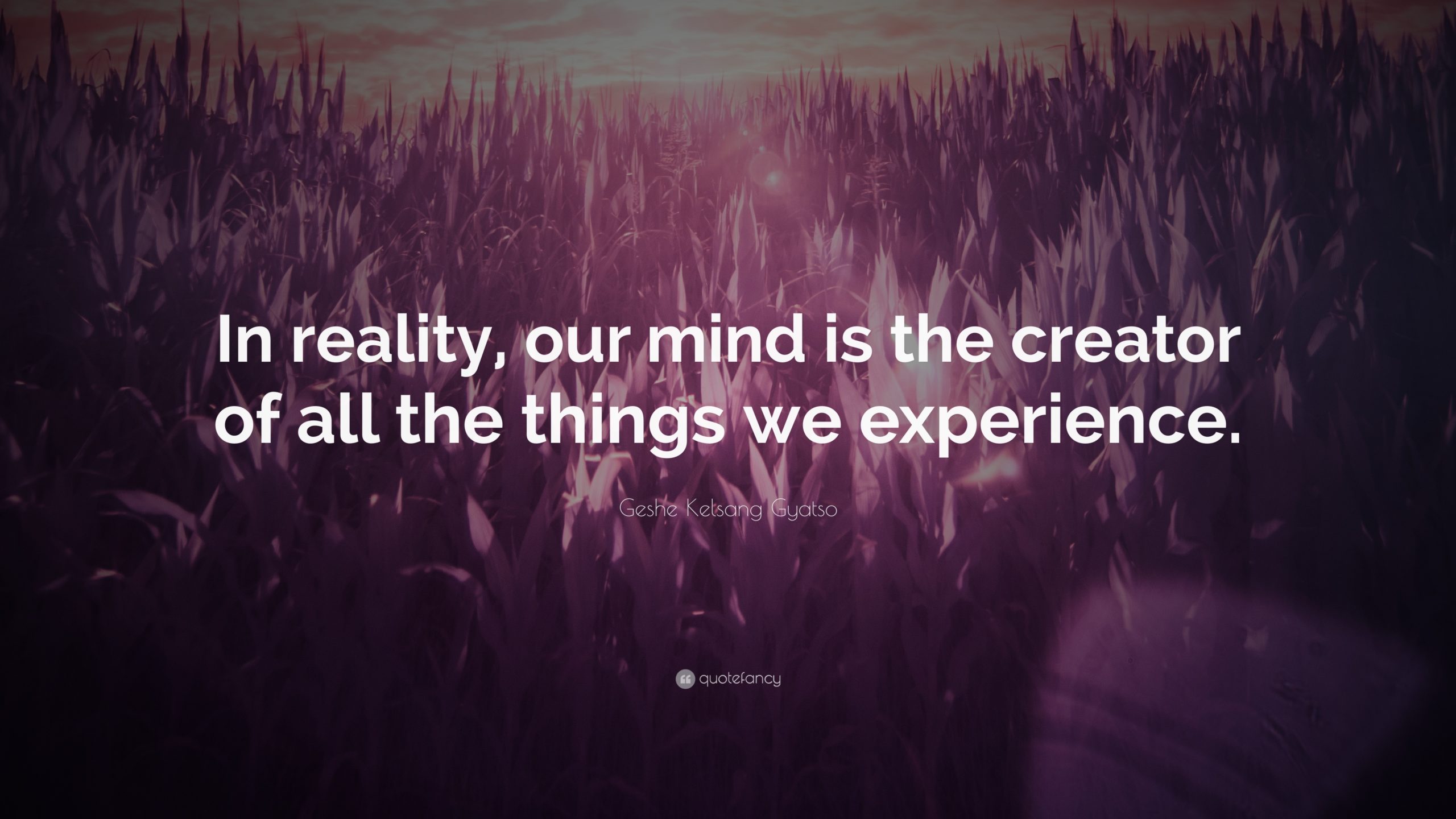 What Type of experience am I Creating