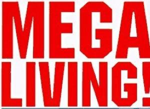 What is a Mega Living Life?