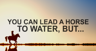 you can lead a horse to water