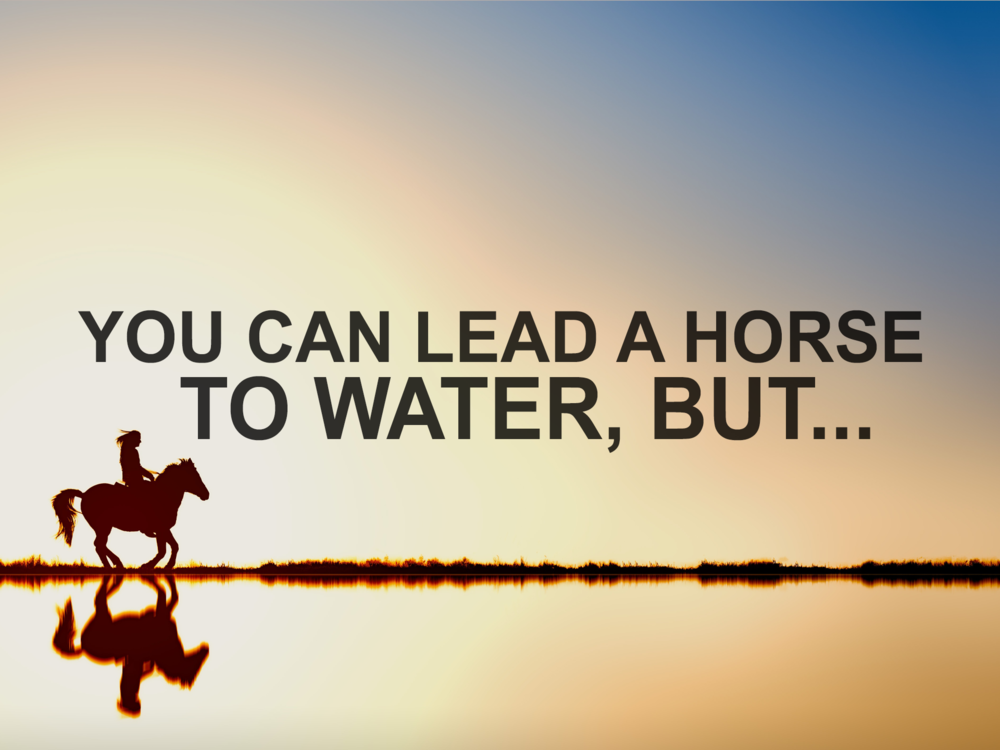 You Can Lead A Horse To Water